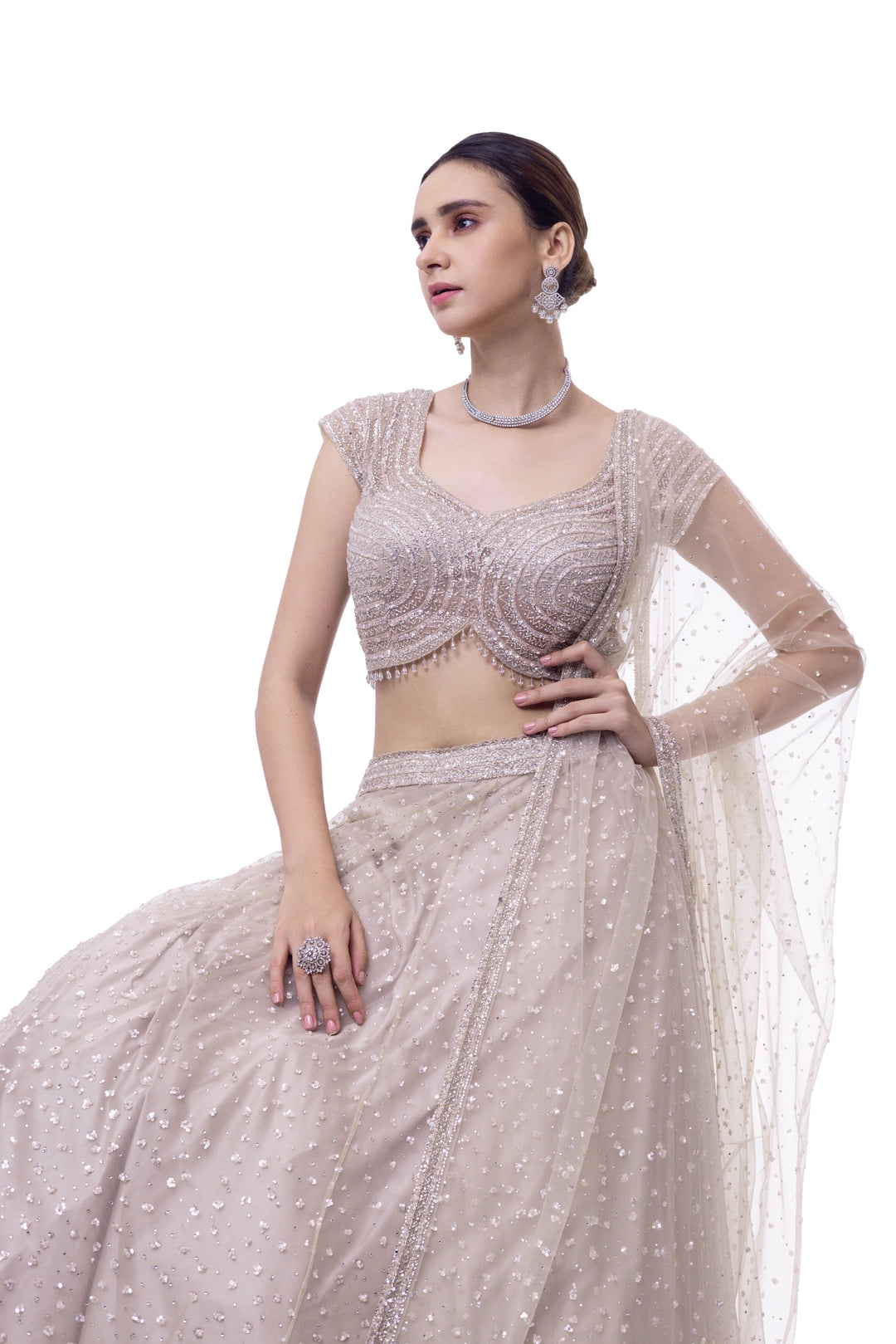 Dark Oyster Net Lehenga