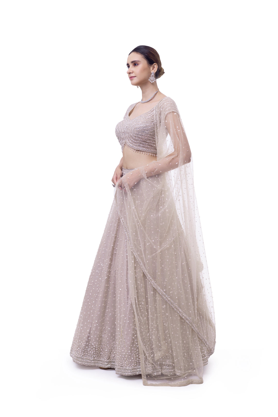 Dark Oyster Net Lehenga
