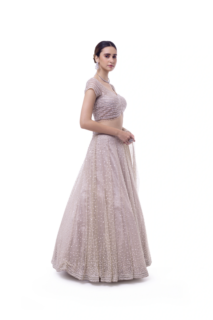 Dark Oyster Net Lehenga