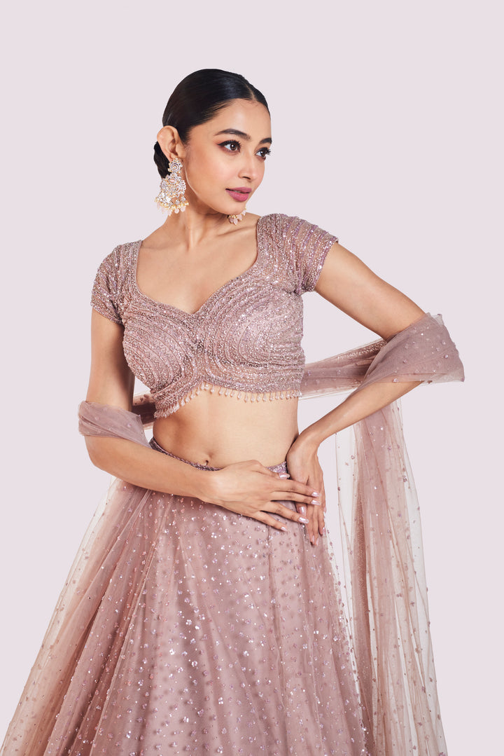 Dark Oyster Net Lehenga