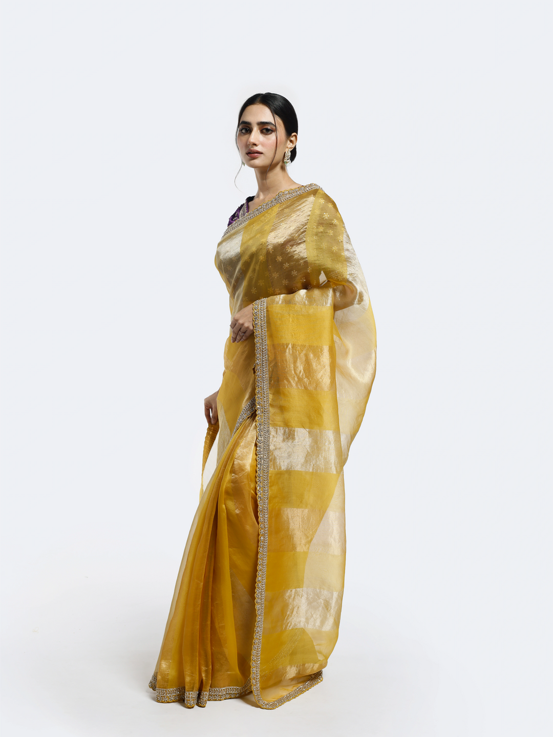 Subtly Panelled Tissue saree