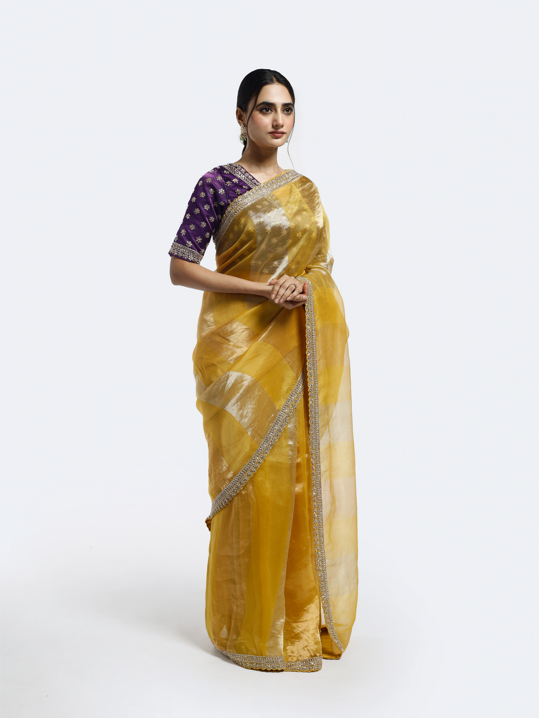 Subtly Panelled Tissue saree