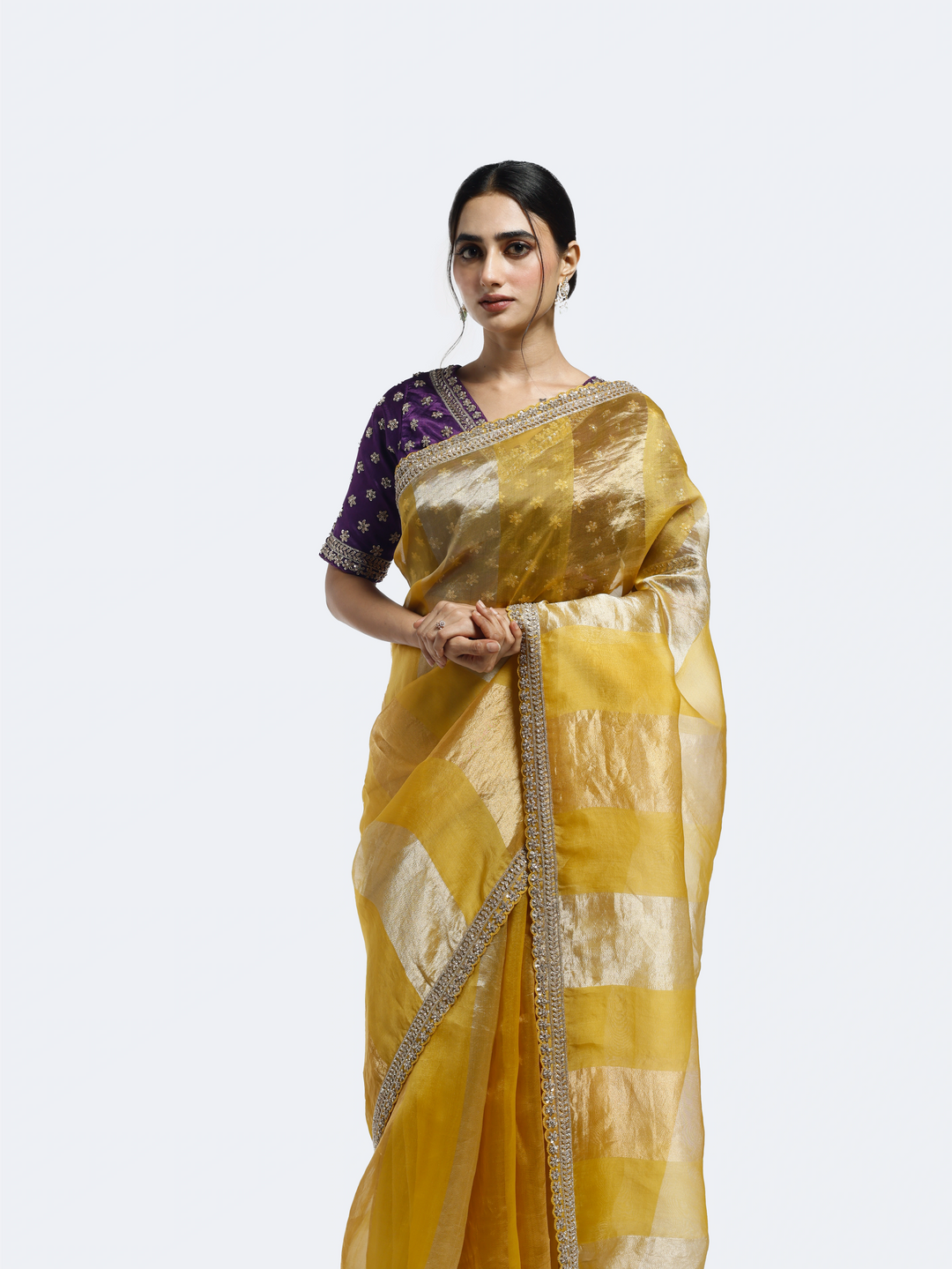 Subtly Panelled Tissue saree