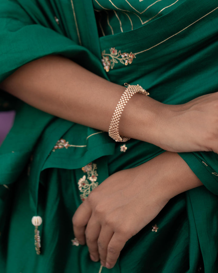 green signature style border hand embroidered Saree With blouse