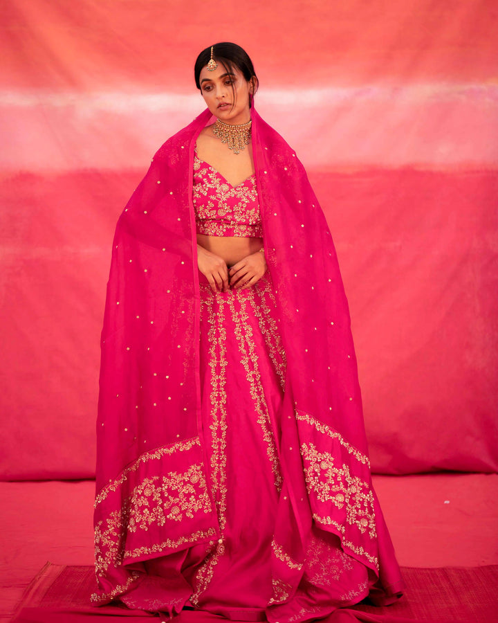 pink hand embroidered kalli lehenga set