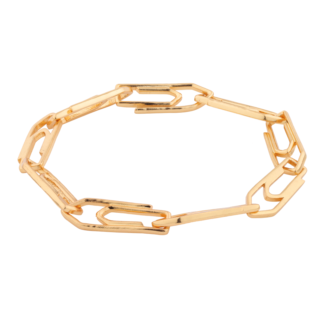 linked paper clips