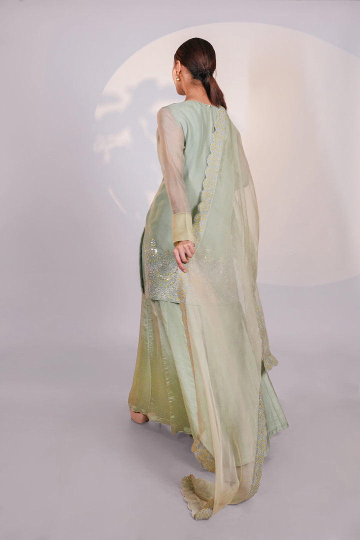 Green Organza Kurta