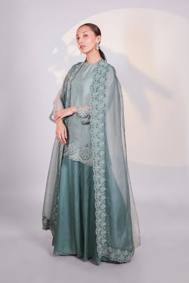 Blue Organza Lace Cape