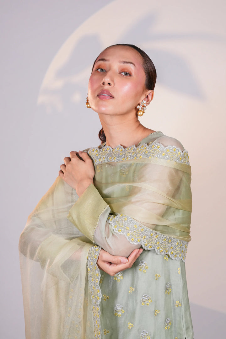 Green Organza Kurta