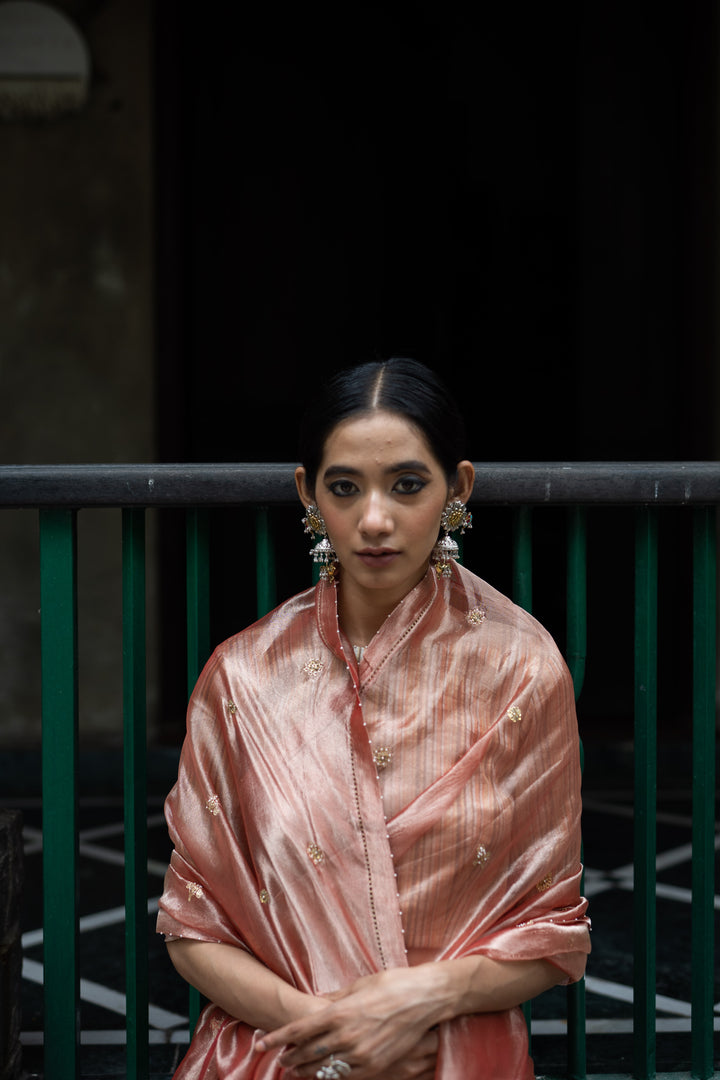 blush pink hand embroidered tissue silk saree with blouse