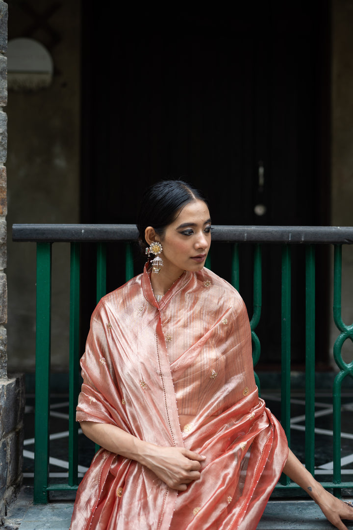 blush pink hand embroidered tissue silk saree with blouse