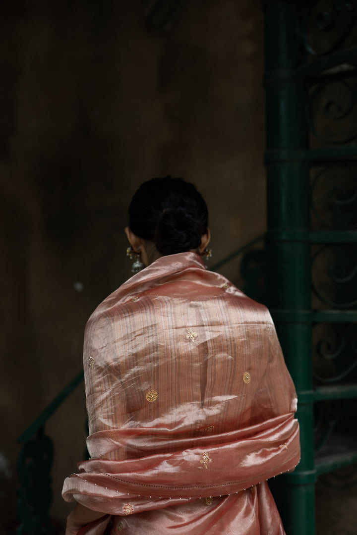 blush pink hand embroidered tissue silk saree with blouse