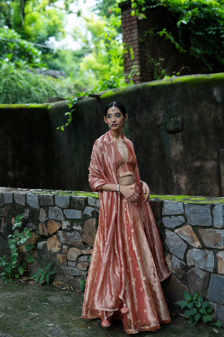 blush pink hand embroidered kalli lehenga set