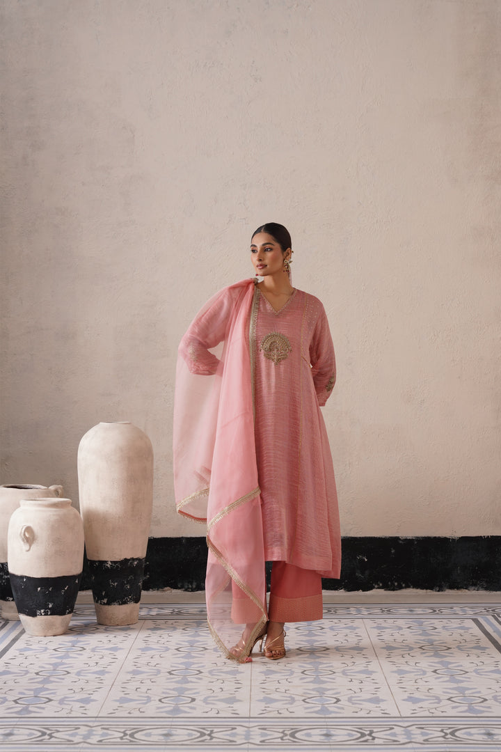 Blush Apricot Pannel Aline Kurta