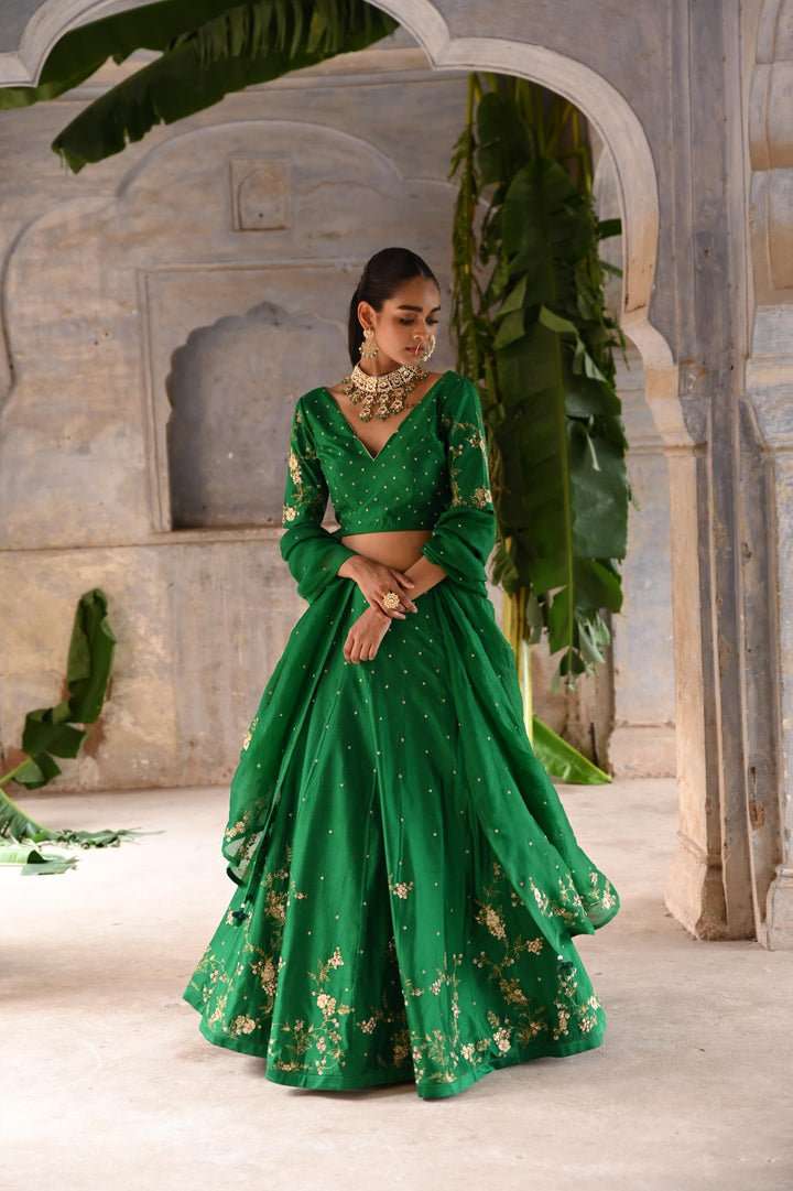 green hand embroidered lehenga set