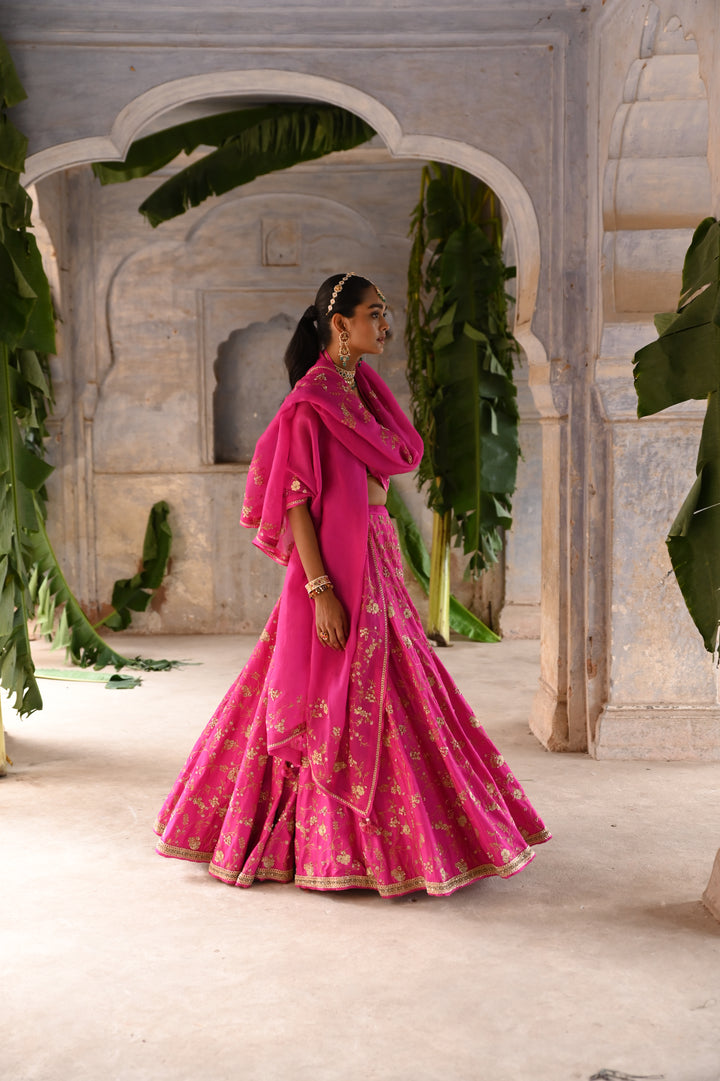 fuchsia pink embroidered lehenga set