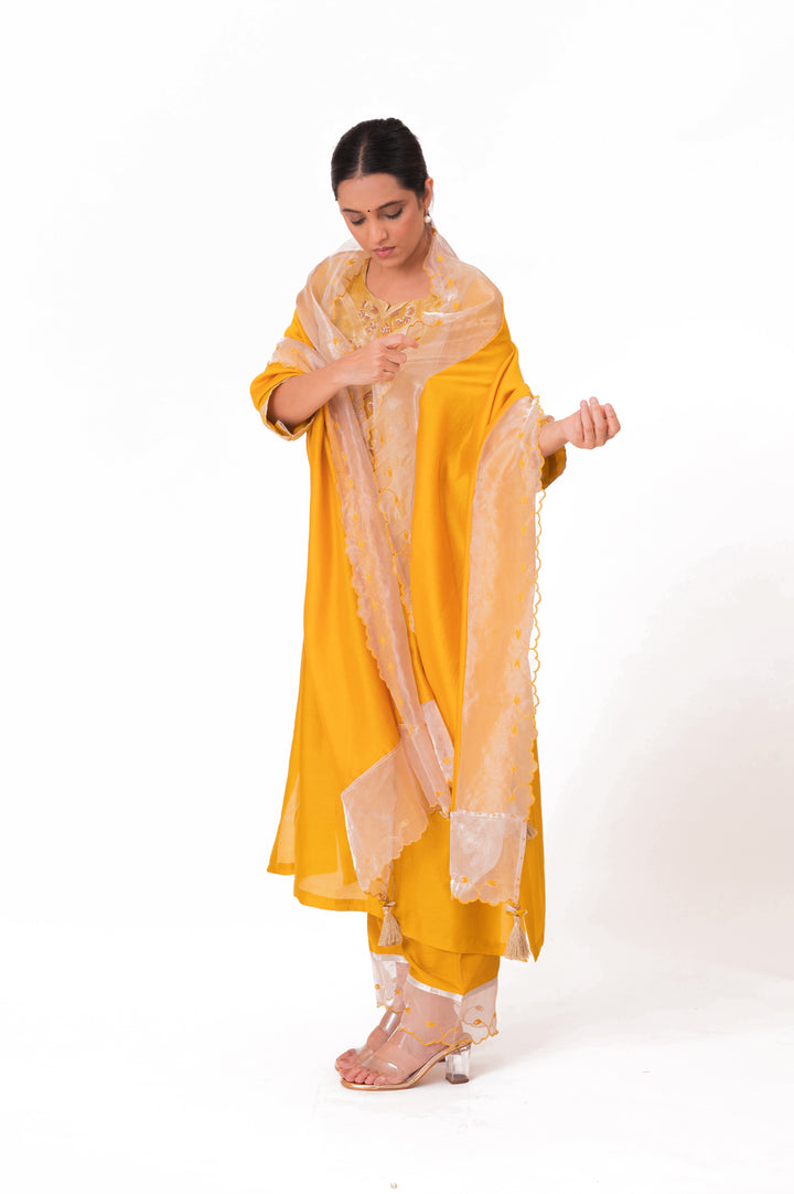 Banarasi Tissue Yoke Kurta Set