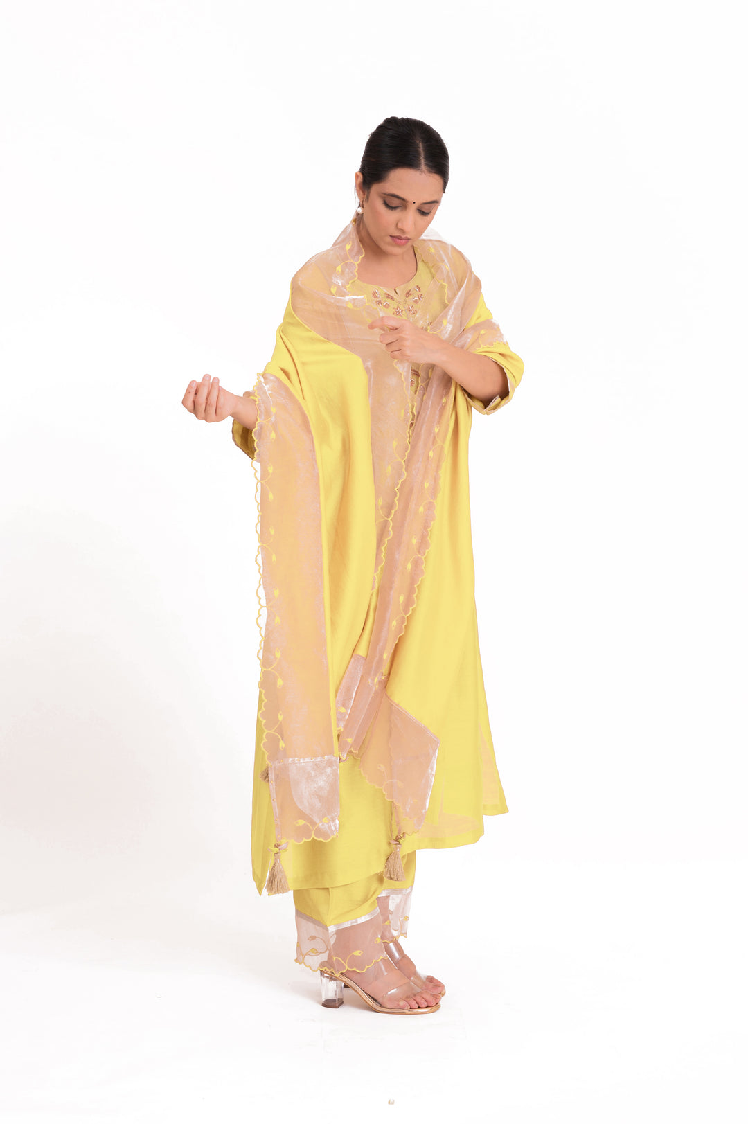 Banarasi Tissue Yoke Kurta Set