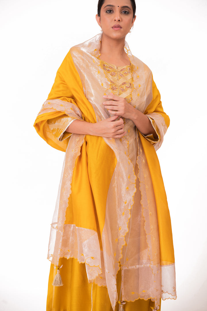 Banarasi Tissue Yoke Kurta Set