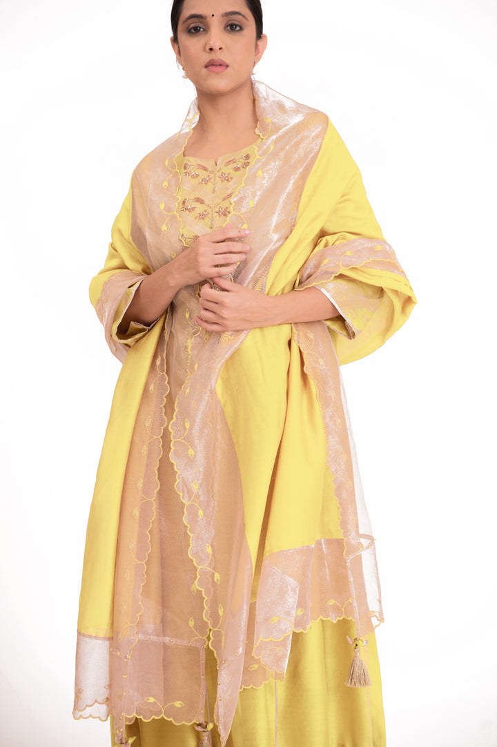 Banarasi Tissue Yoke Kurta Set