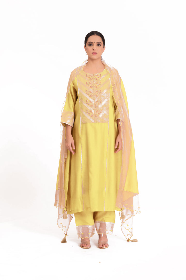 Banarasi Tissue Yoke Kurta Set