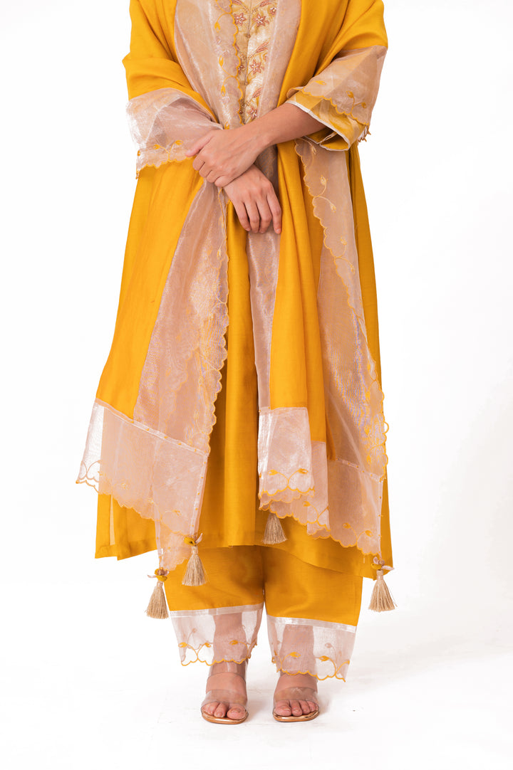 Banarasi Tissue Yoke Kurta Set