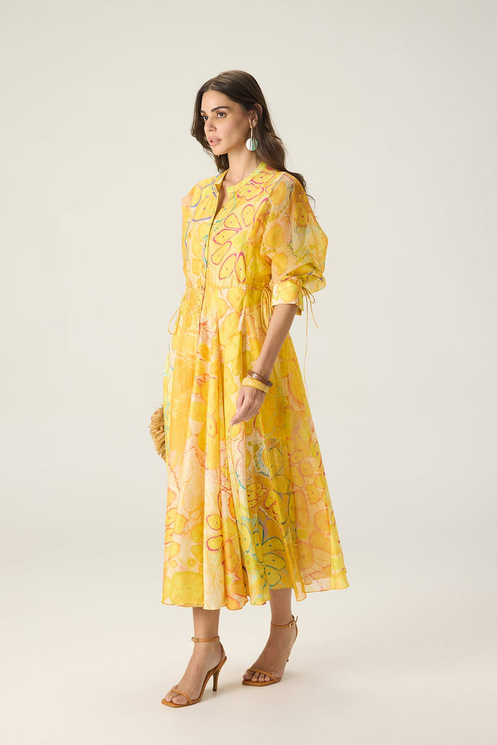 Sonam Dress