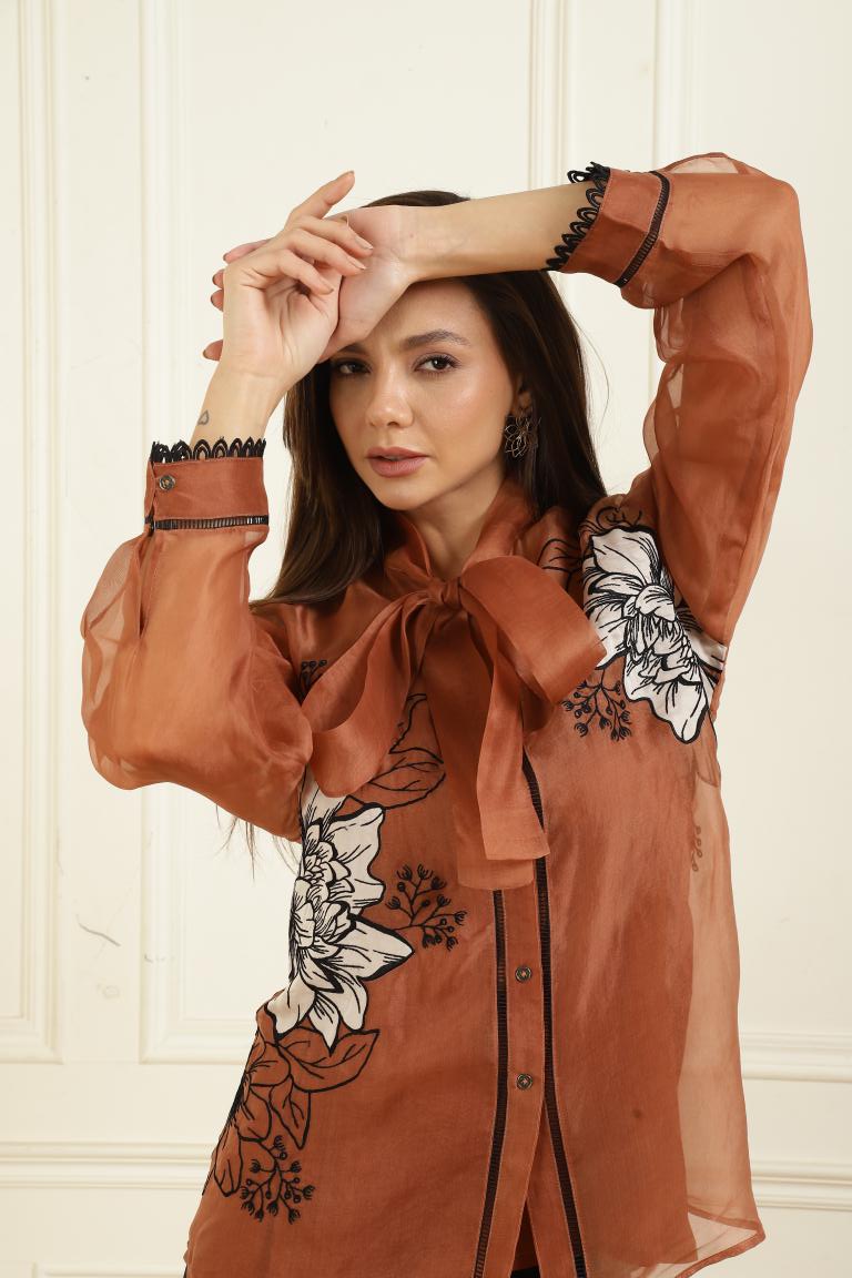 Women’s Sheer Organza Front Open Tie-Neck tan Shirt