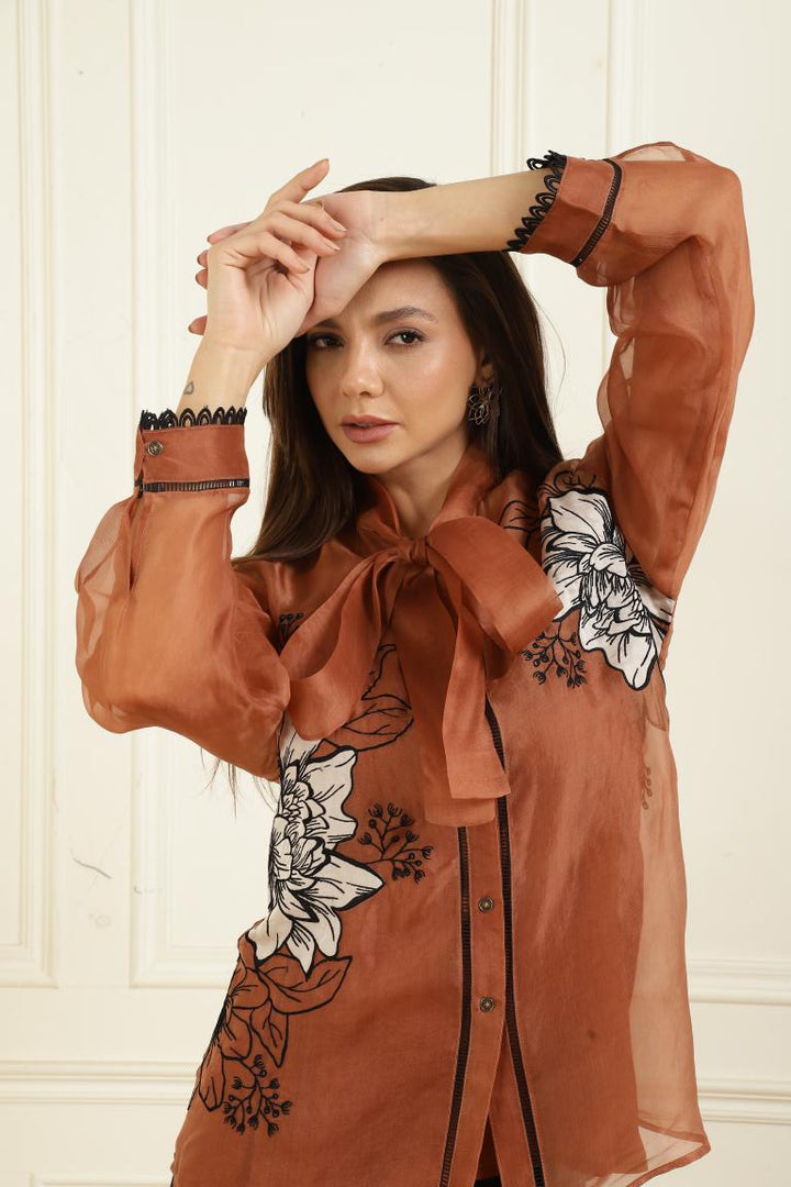 Women’s Sheer Organza Front Open Tie-Neck tan Shirt