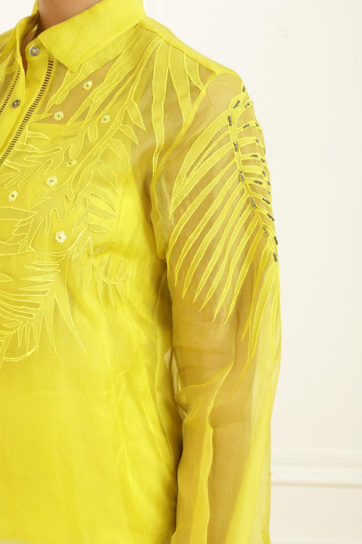 Women’s Sheer Organza Front Open Collar green Shirt