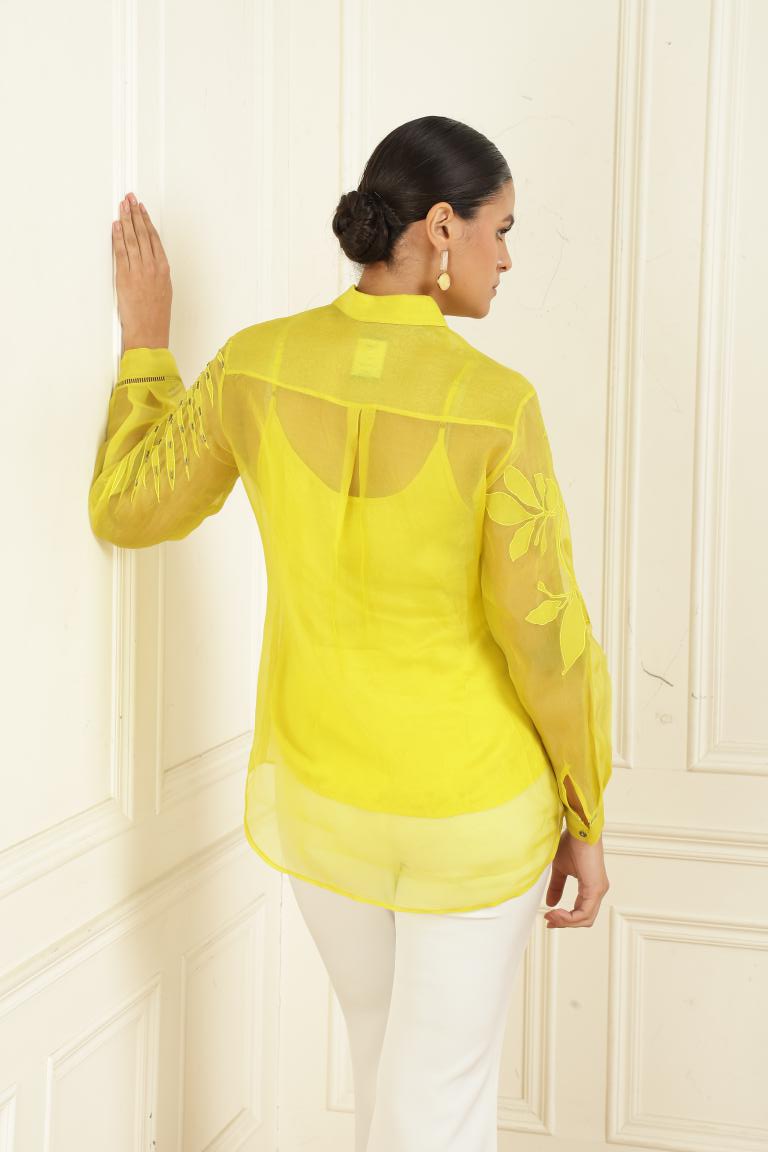 Women’s Sheer Organza Front Open Collar green Shirt