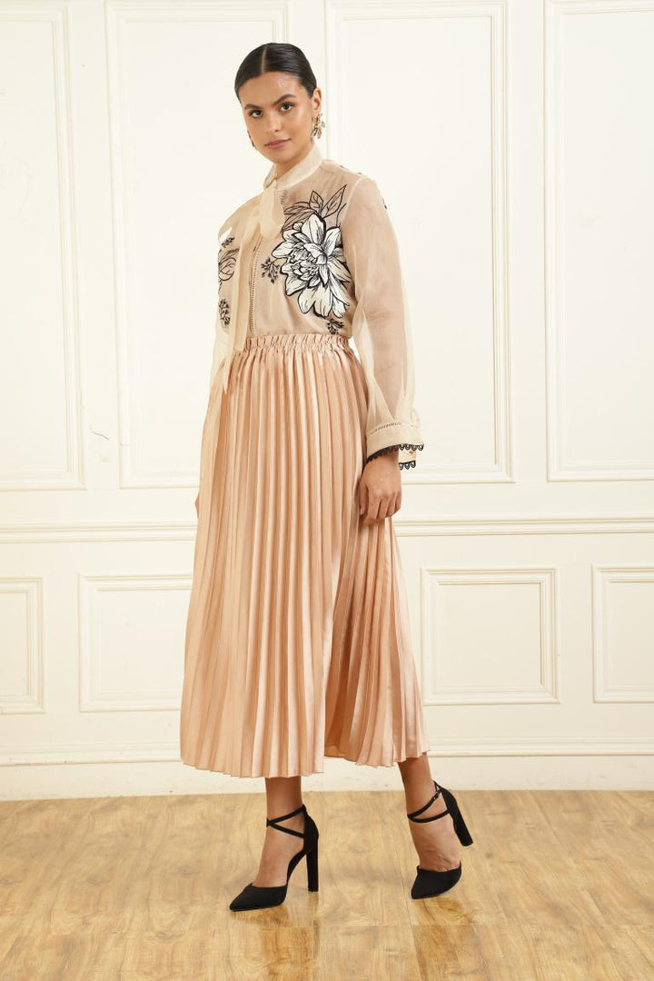 Women’s Sheer Organza Front Open Tie-Neck Champagne Shirt