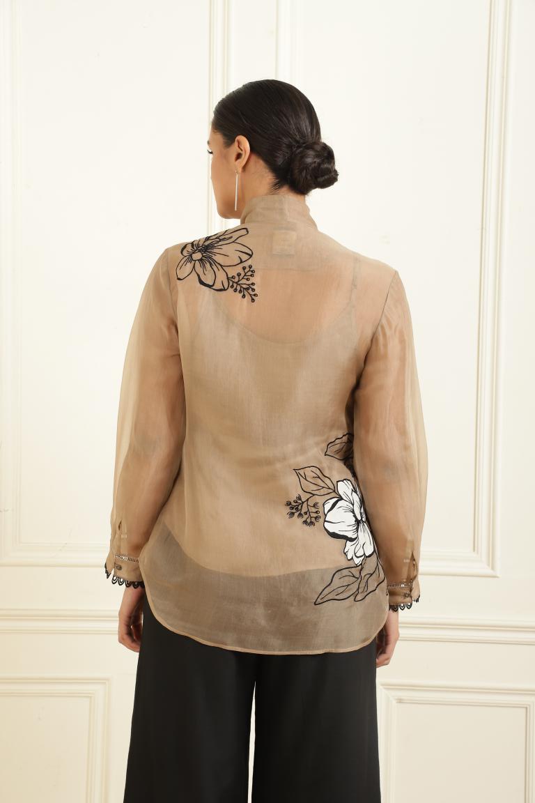 Women’s Sheer Organza Front Open Tie-Neck taupe Shirt