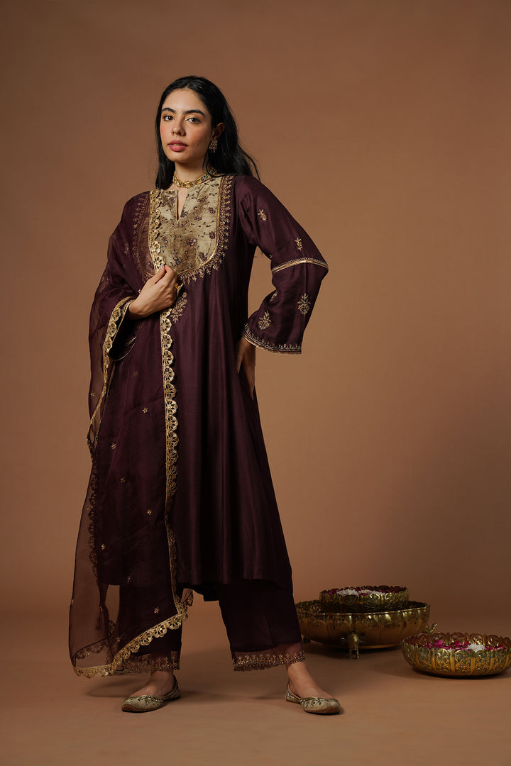 wine kalidar with embroidered velvet yoke and sleeves