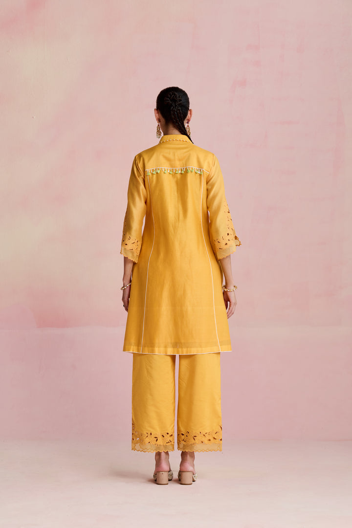 Vaani Kurta Set