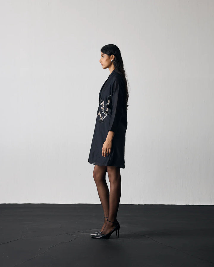 Button Down Dress