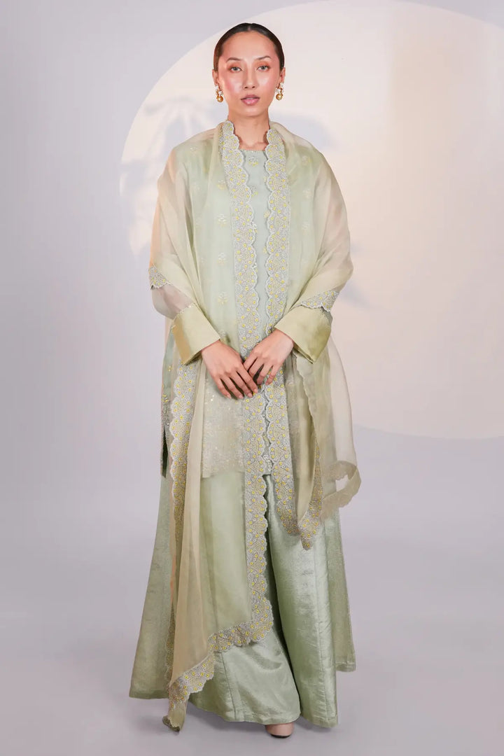 Green Organza Kurta