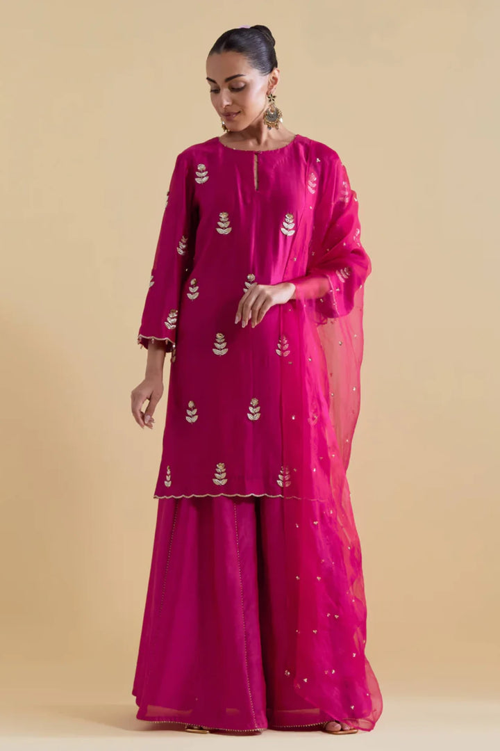 Rani Hand Embroidered Kurta and Sharara Set