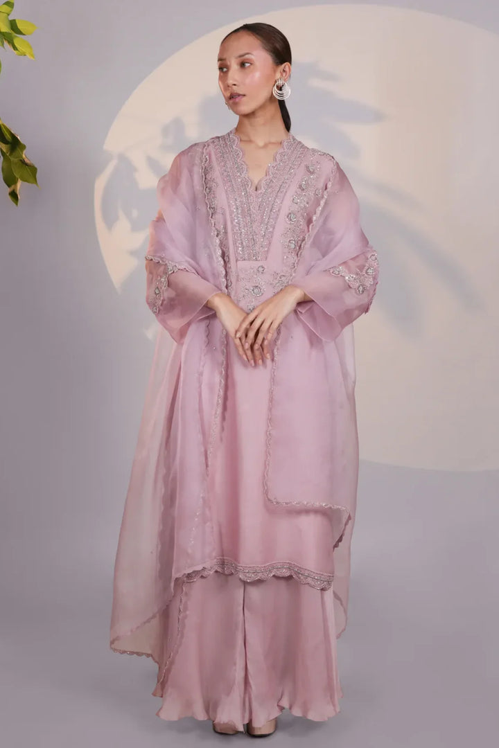 Pink Organza Kurta