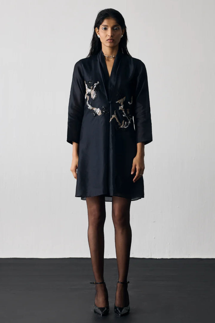 Button Down Dress