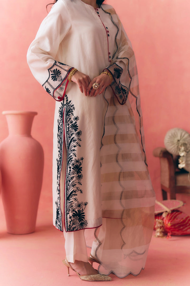 M12053 - Areesha