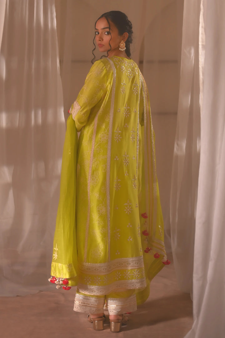 Parrot Green Long Kurta Set