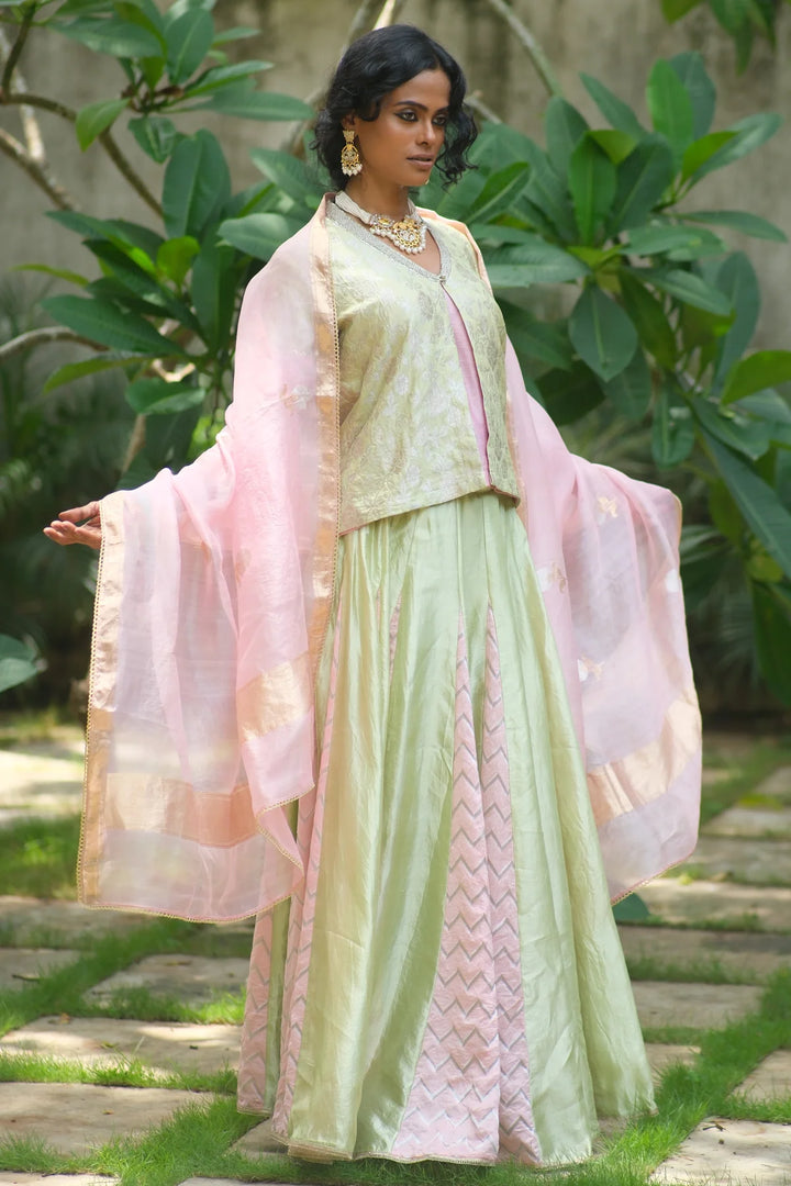Brocade choli W silk lehenga & contrast dupatta