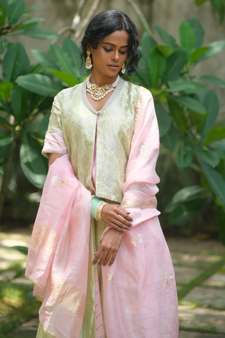Brocade choli W silk lehenga & contrast dupatta