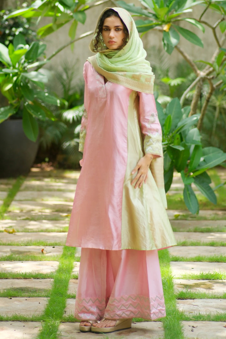 Silk aline kurta W bird handwork on sleeve & brocade V neck W contrast dupatta & matching pants