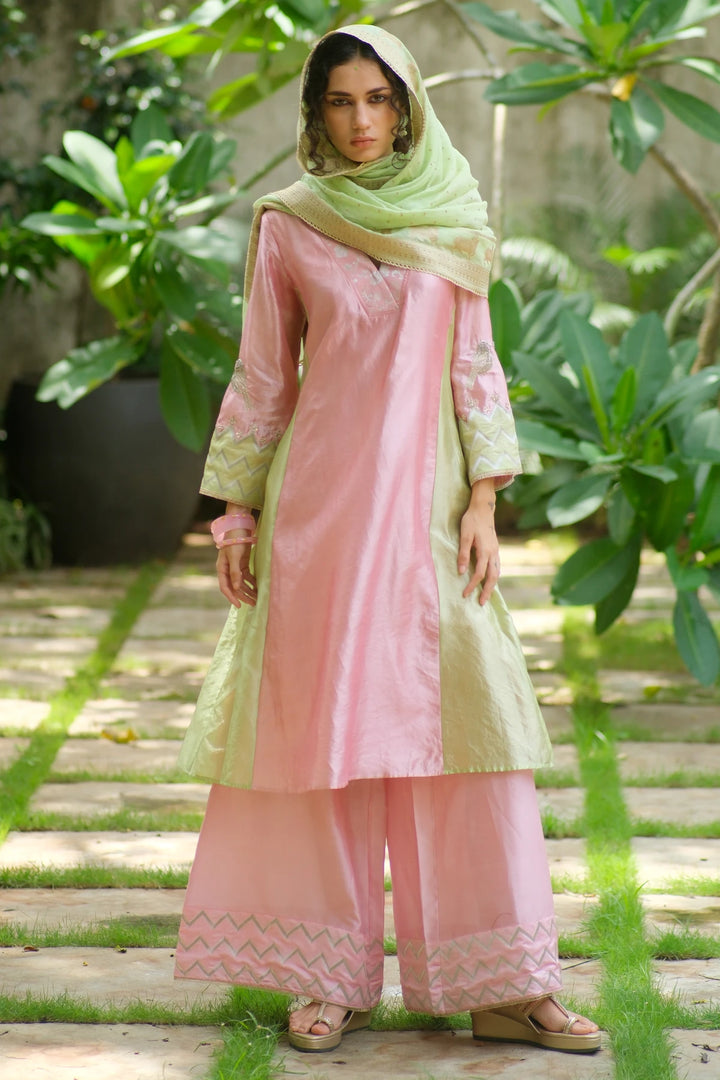 Silk aline kurta W bird handwork on sleeve & brocade V neck W contrast dupatta & matching pants