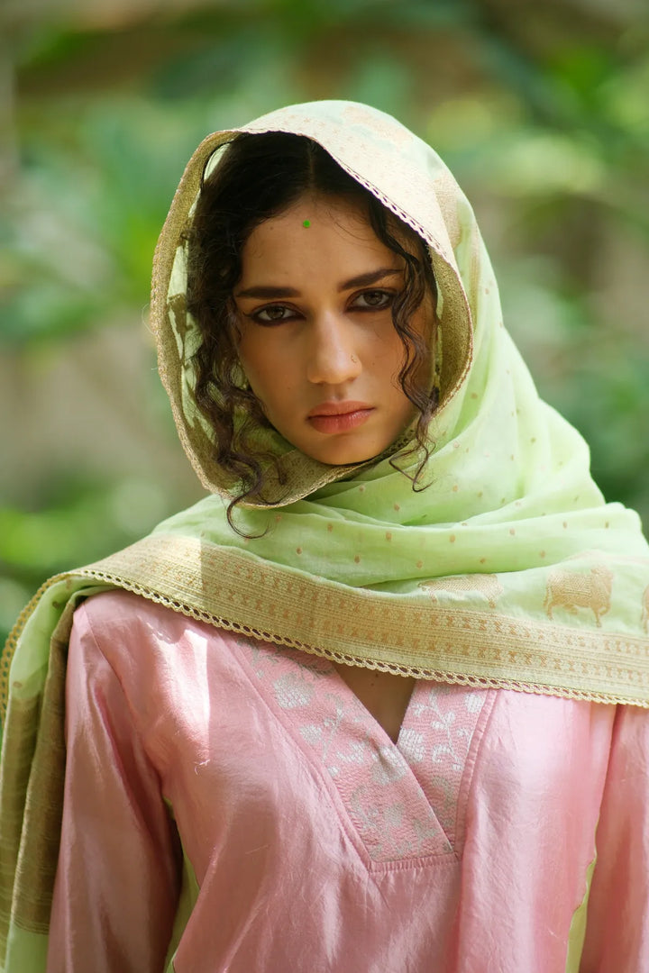 Silk aline kurta W bird handwork on sleeve & brocade V neck W contrast dupatta & matching pants