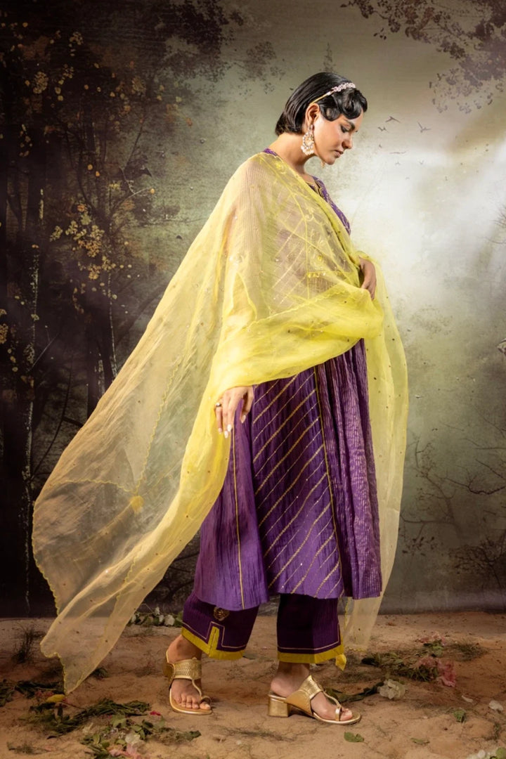 Purple Center Gathered A-line Kurta Set