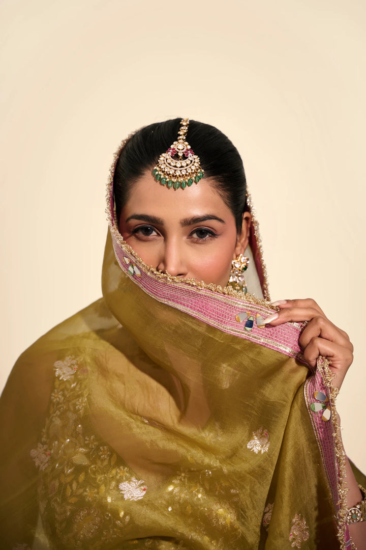 Pastel Pannel Lehenga