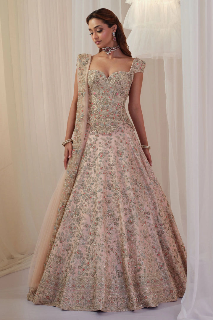 Blush Hand Embellished Corset With Lehenga & Dupatta
